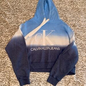 Calvin Klein Gradient Blue Hoodie